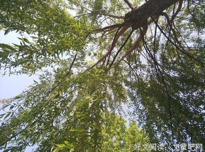 太阳的么能裔句子