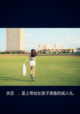 《六六》的句子