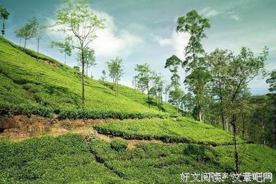 有关我就是我的句子