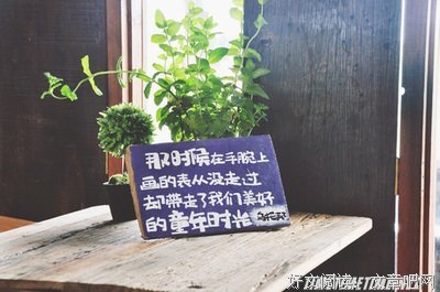 《蜂蜜与四叶草》经典语录大全