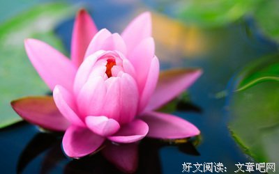 好句经典名句