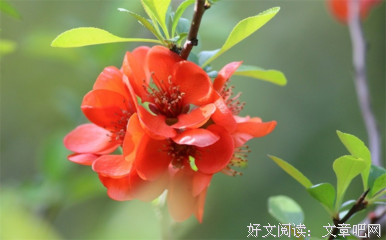 无经典的句子