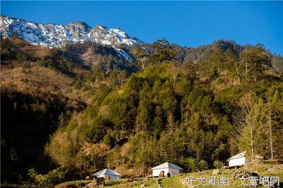 《荒野旅社》经典影评10篇