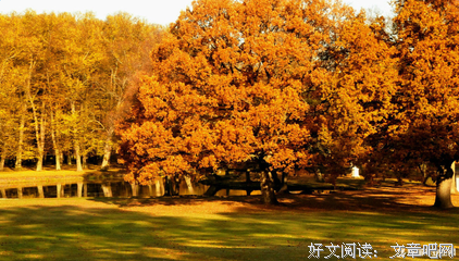描写晓晨的语句摘抄