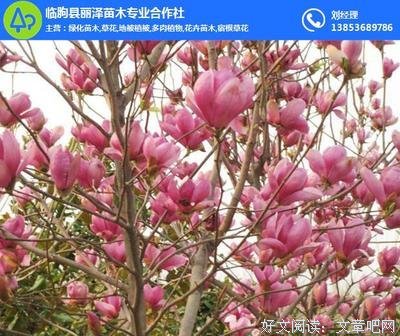俊郎的名句_关于俊郎的名句