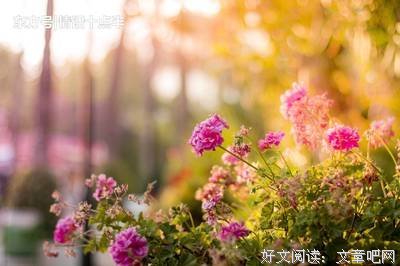 婚后，男人如果不爱你了，真正高情商的女人会怎么样处理