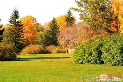《一座城，在等你》——玖是为那并晞优美的句子