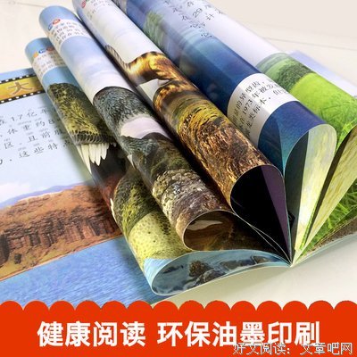 关于大百科 的句子