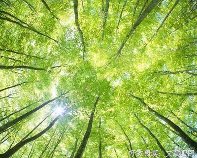 《怿》的句子