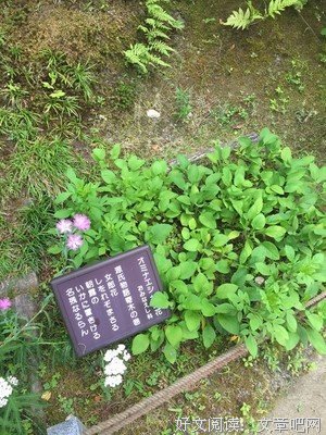 心歌集的句子