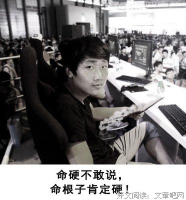 无他经典的句子
