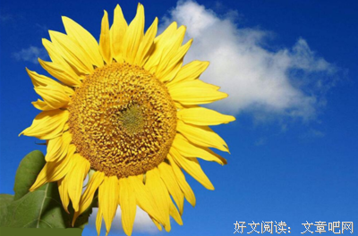我喜欢的名句欣赏