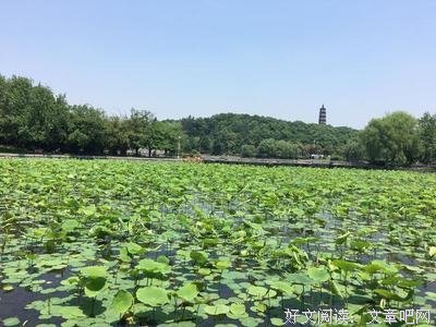击穿宿命论：八字不好，真的就没法改变了吗？