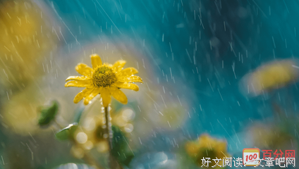 坚强的句子