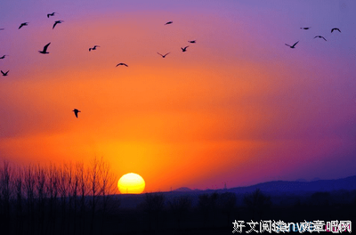 唯美古诗句