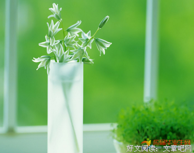 关于怯懦的句子