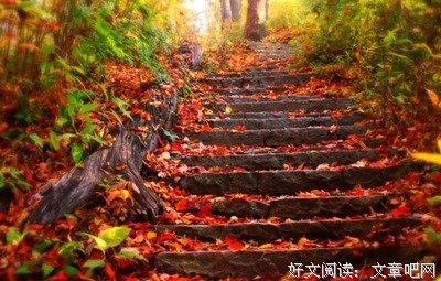 站在秋的路口