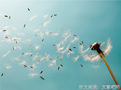 关于明霞名言名句