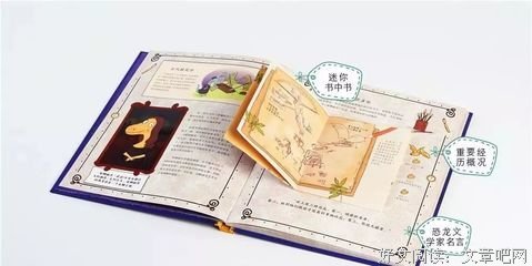 龙化的名言_关于龙化的名言