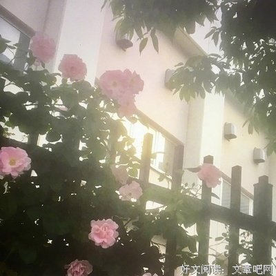 关于全力以赴的语句