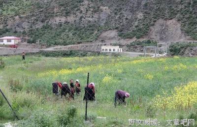 心路是首歌，高低方成曲