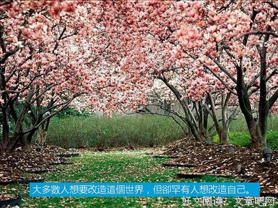 一语惊人