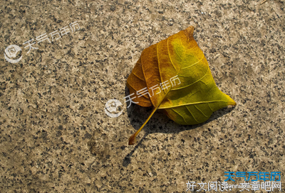 最美诗歌