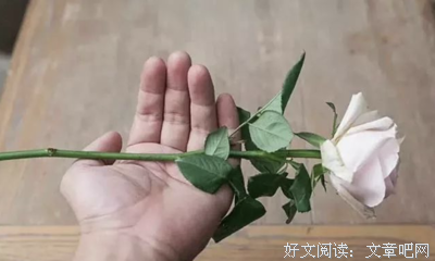 一枝没有叶子的玫瑰 ｜ 醒俗故事