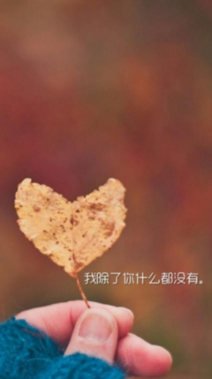 关于Z经典语录