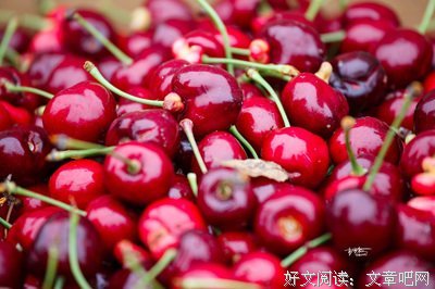 回归自然生长，体验轻松不费力的变化