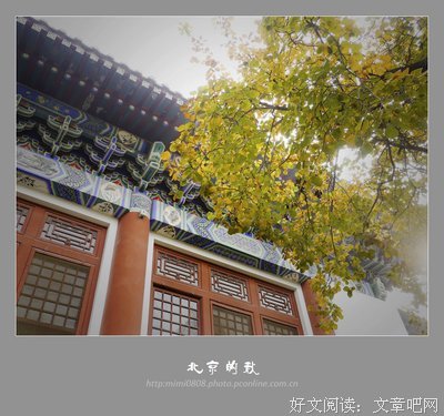 北京的秋天留住了多少人