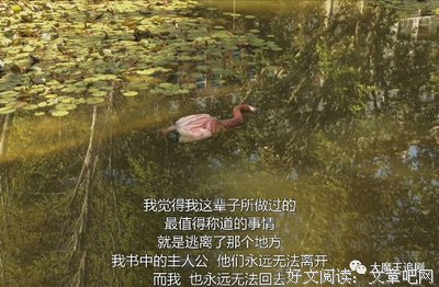 《各位国民》好看吗？经典影评10篇
