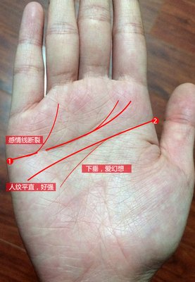 命盘 