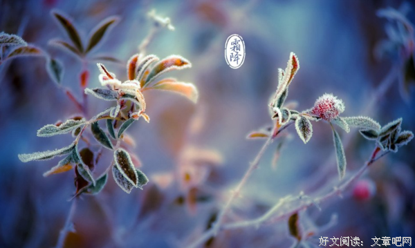 关于作文必备的句子