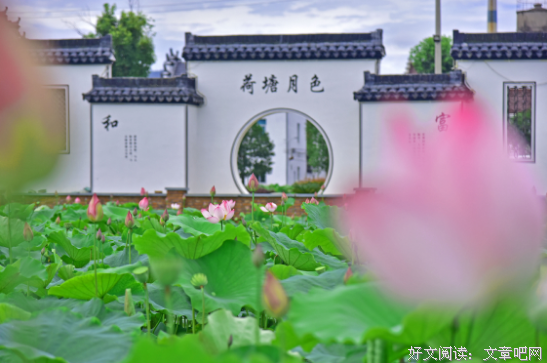 《美丽的秋天村庄Michuli》经典观后感10篇