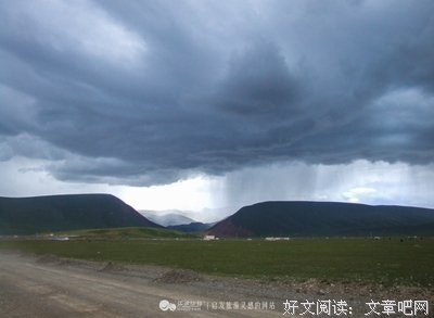 他们没有被雷劈死，却被埋在牛粪里死去...