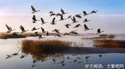 物以类聚，人以群分！（深度好文）