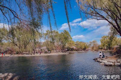 关于中郎的语句