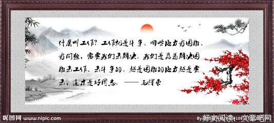 关于毛泽东的名言