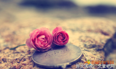关于绝望集的优美句子
