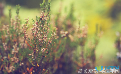 美文经典的句子