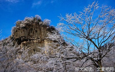 关于心生的句子