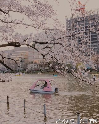 喜欢の句句子大全