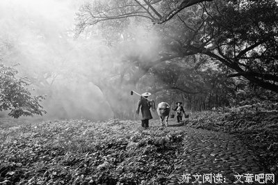 小说副本经典名句