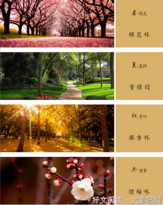 唐陆紫苏思想录优美的句子