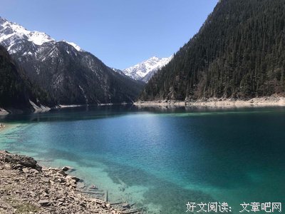 关于千鹤的语句