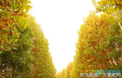 关于悸动的句子