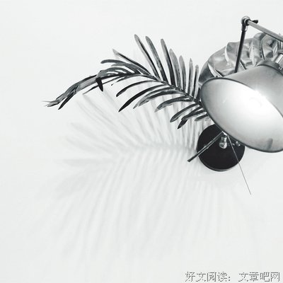 关于颓的名言