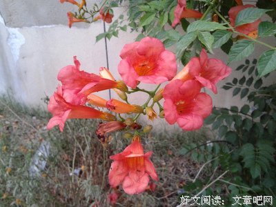 毁掉一个人最好的办法，就是让ta无所事事