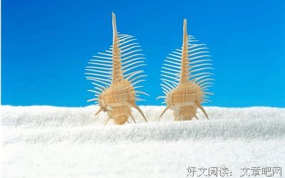用一秒遇见，用一辈子来想念。